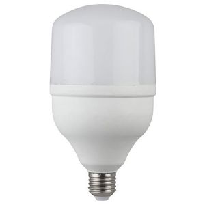 ������������ ����� ��� LED smd POWER 20W-6500-E27 (40/800)