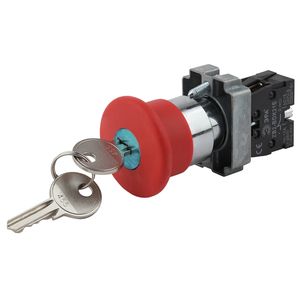 ��� ������ LAY5-BS142 ������� ������ ����. d22�� 240� 1� ��� ������: �0045637