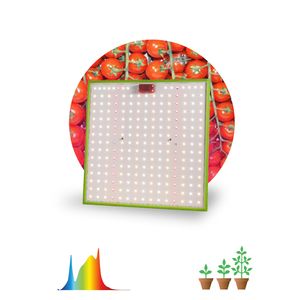 ������� ���� ��� FITO-80W-LED-QB Quantum board ������������� ������� ������� 80 �� 3500�