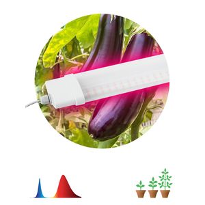 ��� �������� ���������� ������-������ ������� FITO-36W-RB-N ��� ������: �0045697