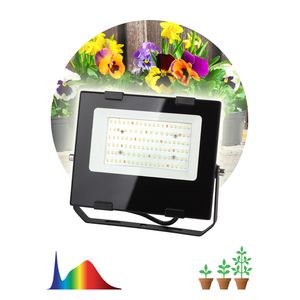 FITO-50W-Ra90-LED ��� ��� �������� � ������������ ��� ������: �0047875