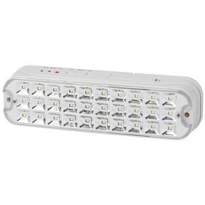 DPA-101-2-20 ��� ���������� ������������ ��������� ������������ 30LED 6� IP20 NiCD ��� ������: �0044402