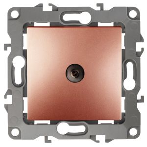 12-3101-14 ��� ������� TV ���������, ���12, ���� (10/100/2500)